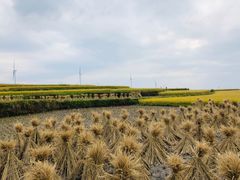-贵州云顶草原民族风情园