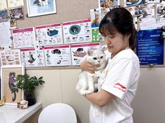 -美联众合爱康动物医院•复杂内科•肿瘤科•牙科•腔镜诊疗中心