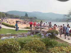 -南京银杏湖乐园