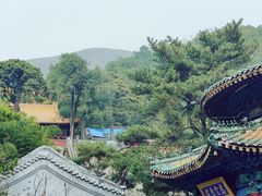 -潭柘寺景区