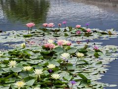 -清晖小苑•顺德地方菜(壹海城店)