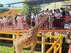 -西霞口神雕山野生动物世界