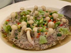 小蘑菇黑松露蒸肉饼-纳福苑(亮庆餐饮分店)