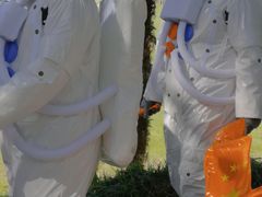 -黄海国家森林公园