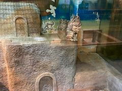 -顺德南宏海立方海洋公园
