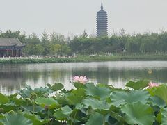 -西海子公园