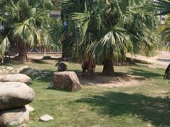 -灵玲国际马戏城