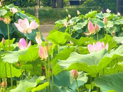 -国家植物园南园