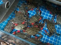 -宾朋海鲜特色美食餐厅·纯手工鲅鱼水饺(兴海路店)