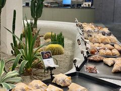 -OUR Bakery(SKP-S店)