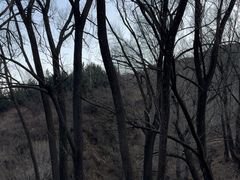 -雁门关景区