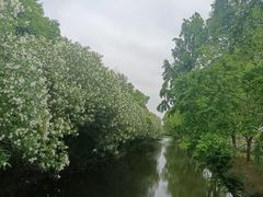-嘉北郊野公园