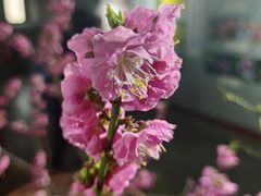 -北京明城墙遗址公园