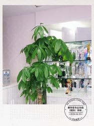 -蕾特恩专业祛痘