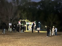 -朝阳公园游乐园