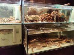-樱之盛宴·蟹料理海鲜自助(前进大街店)