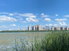 -金银湖国家城市湿地公园