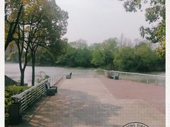 -新江湾城公园