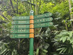 -野象谷景区