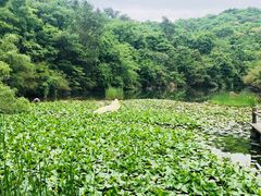 -天目湖山水园