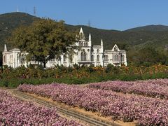 -玫瑰海岸文化旅游度假区