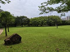 -南沙蒲洲花园
