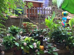 -鱼乐岛餐厅·户外花园主题餐厅