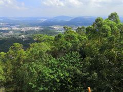 -水濂山森林公园