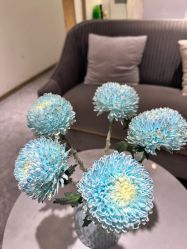 -MIDA蜜哒•科技逆龄美肤连锁