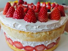 -维尔纳斯·生日蛋糕动物奶油冰淇淋蛋糕(人大店)