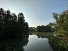 -梁鸿国家湿地公园