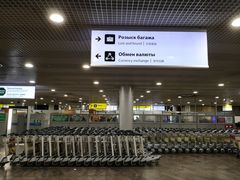 -谢列梅捷沃国际机场