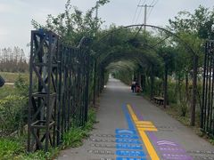 -上海长兴岛郊野公园