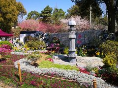 -苏州上方山国家森林公园