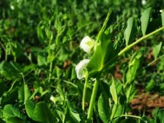 -万达广场(金堂店)