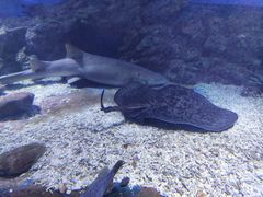 -大连老虎滩海洋公园