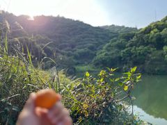-阳台山森林公园