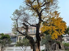 -荔湾博物馆