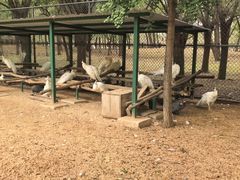 -秦皇岛野生动物园
