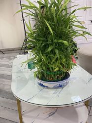 -米娜护肤造型