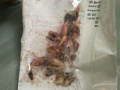 -北京观赏动物医院·24小时大型综合·猫专科·异宠专科