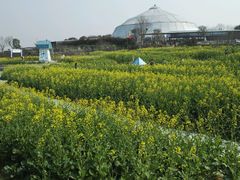 -武汉紫薇都市田园