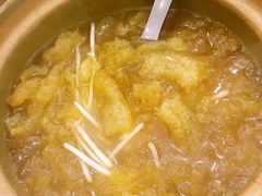 -大中鱼翅 Taitong Shark Fin