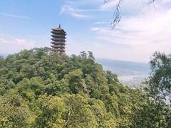 -缙云山景区