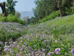 -国家植物园南园