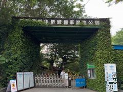 -华侨城湿地公园