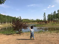-东郊湿地公园