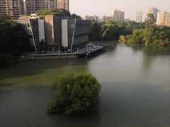 -青枫公园