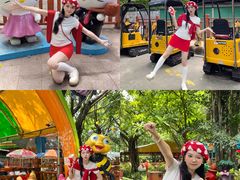 -晓港公园