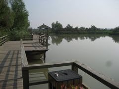 -大湾区中央湿地公园